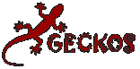 Zur Geckos-Webseite